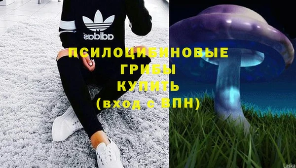 эйфоретик Няндома