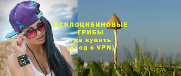 эйфоретик Няндома
