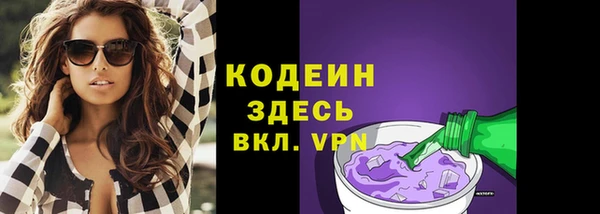 эйфоретик Няндома