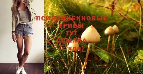 тгк Нязепетровск