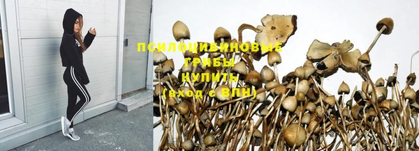 эйфоретик Няндома