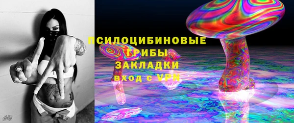 эйфоретик Няндома
