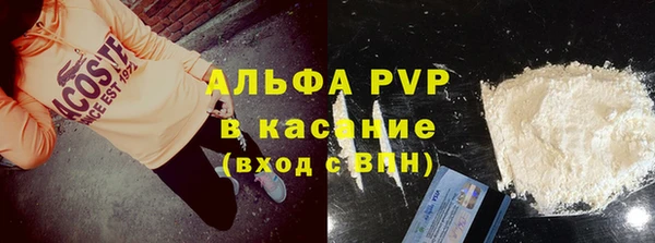 эйфоретик Няндома