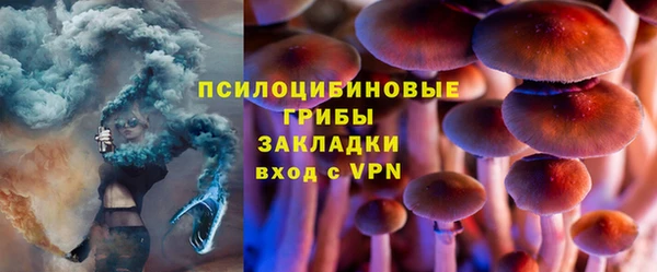 герыч Новодвинск