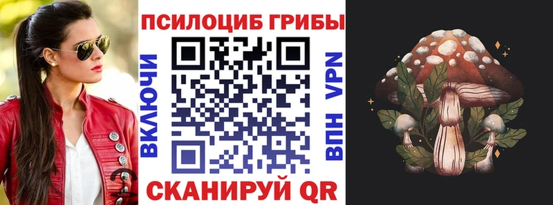 Галлюциногенные грибы ЛСД Новодвинск