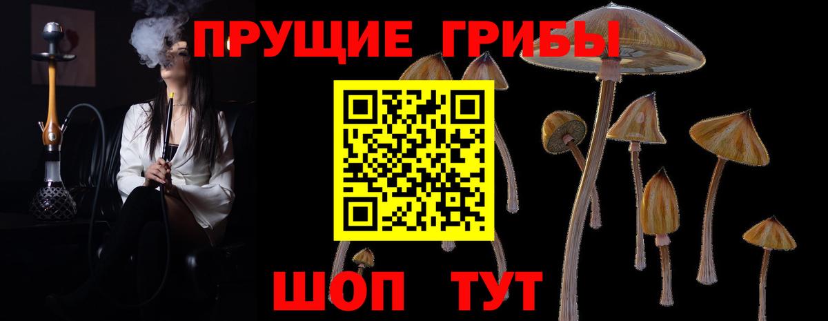 Псилоцибиновые грибы Psilocybe  Вход с VPN  Галлюциногенные грибы прущие грибы  Новодвинск 